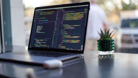 Vue.js development