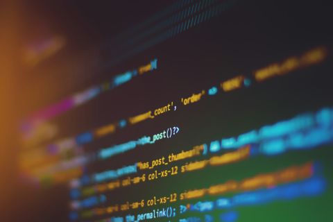 Search functionality